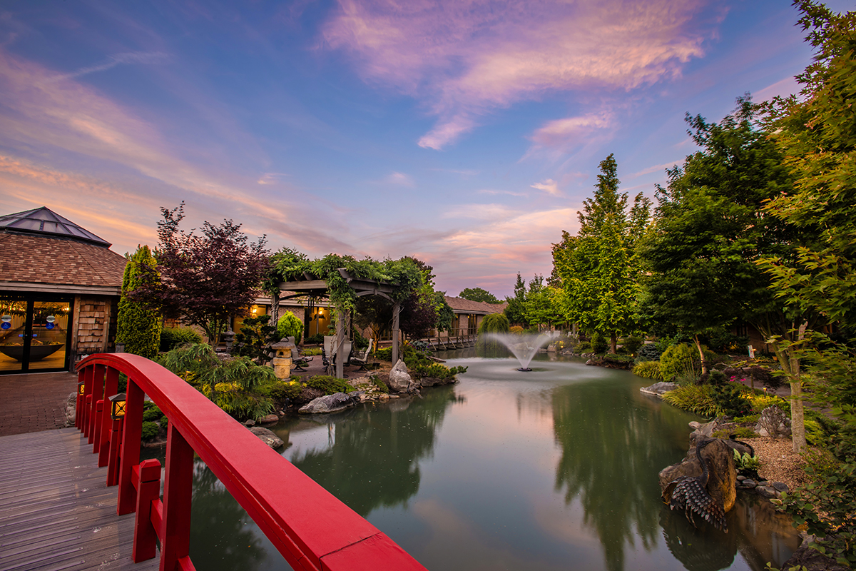 bridge on pond view